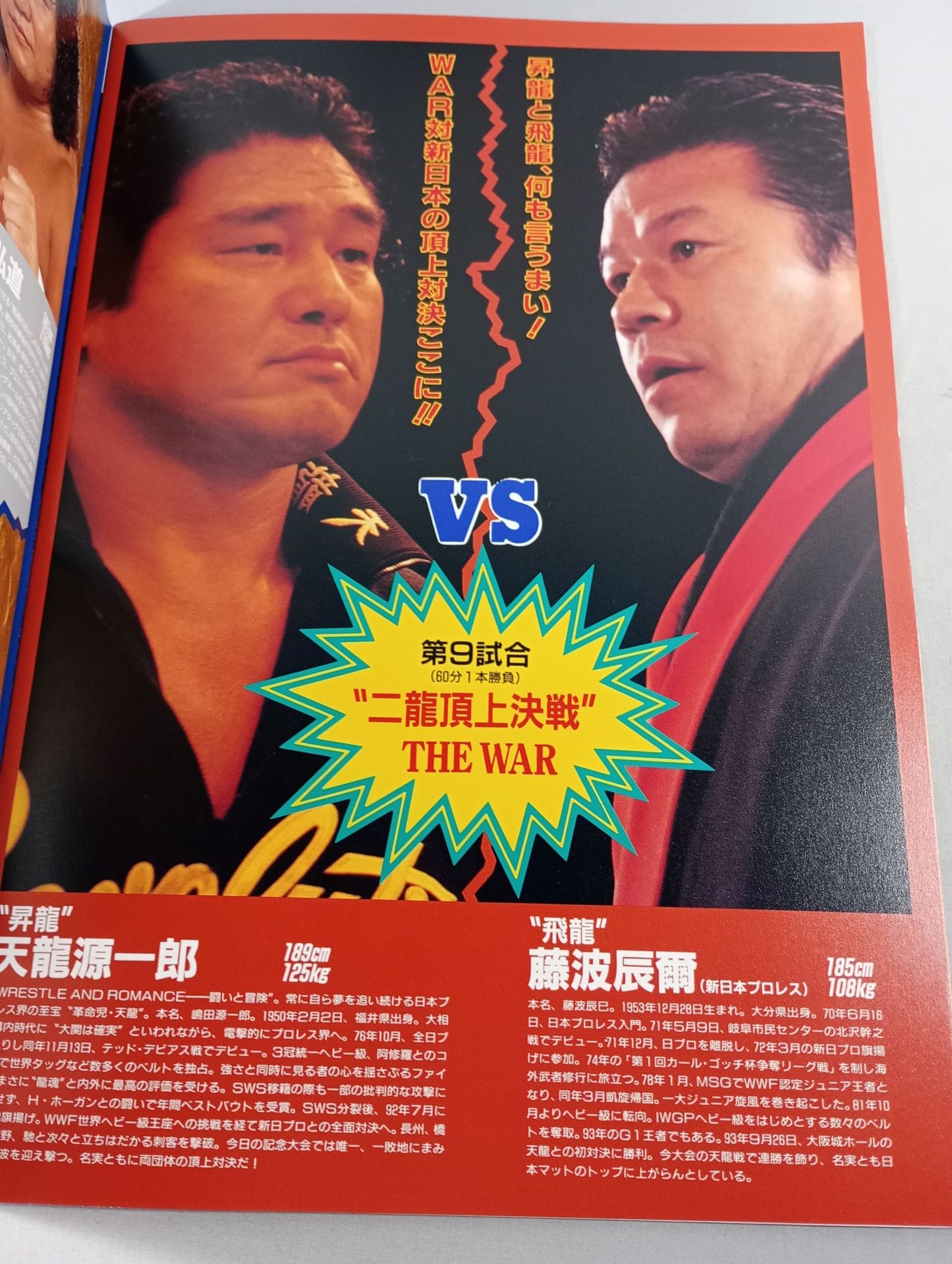 【With ticket stub 】WAR / revolution TenryuGenichiro Martial Arts 30th Anniversary Tournament