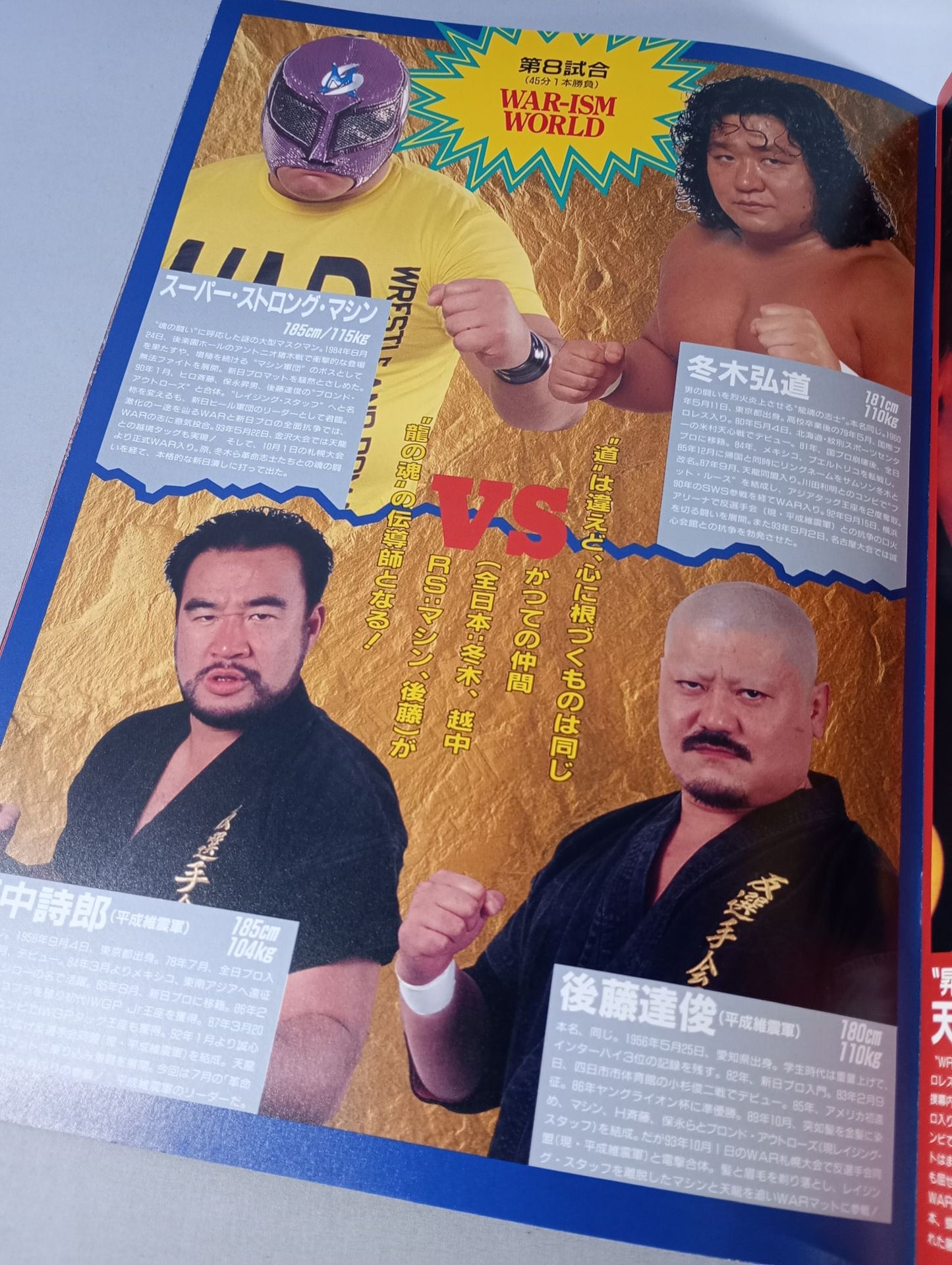 【With ticket stub 】WAR / revolution TenryuGenichiro Martial Arts 30th Anniversary Tournament