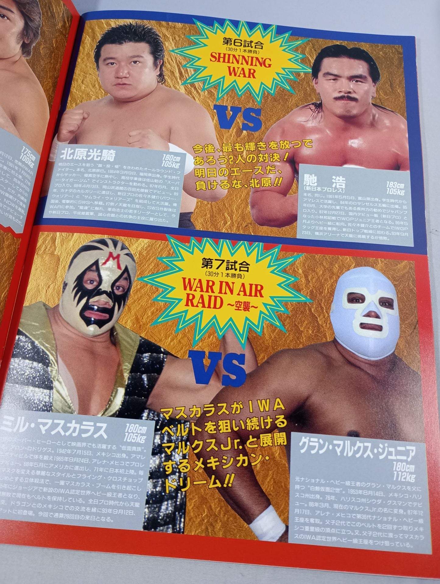 【With ticket stub 】WAR / revolution TenryuGenichiro Martial Arts 30th Anniversary Tournament