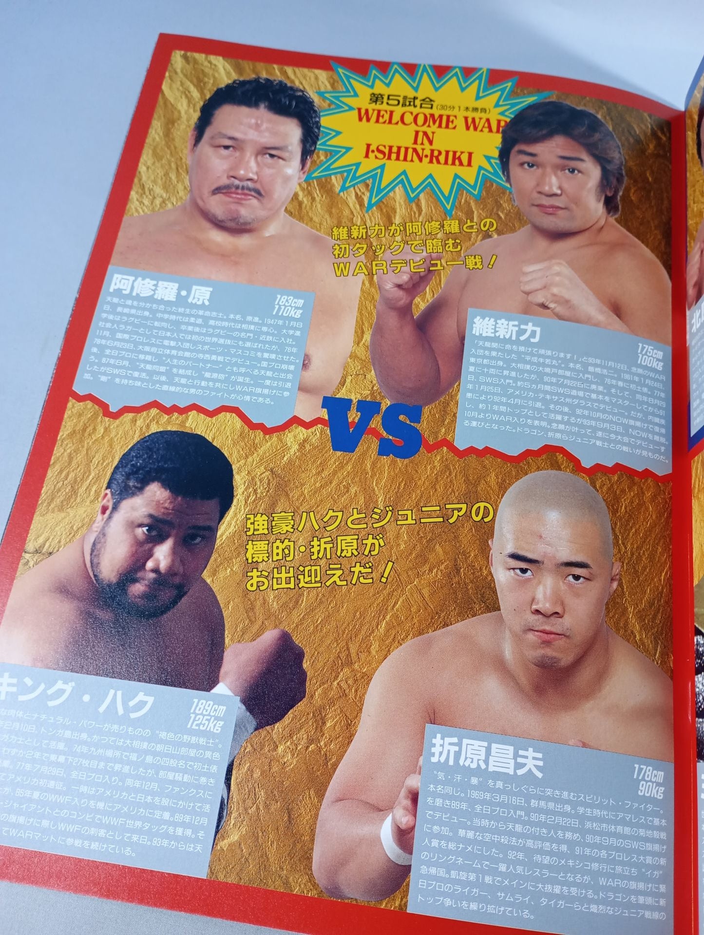 【With ticket stub 】WAR / revolution TenryuGenichiro Martial Arts 30th Anniversary Tournament