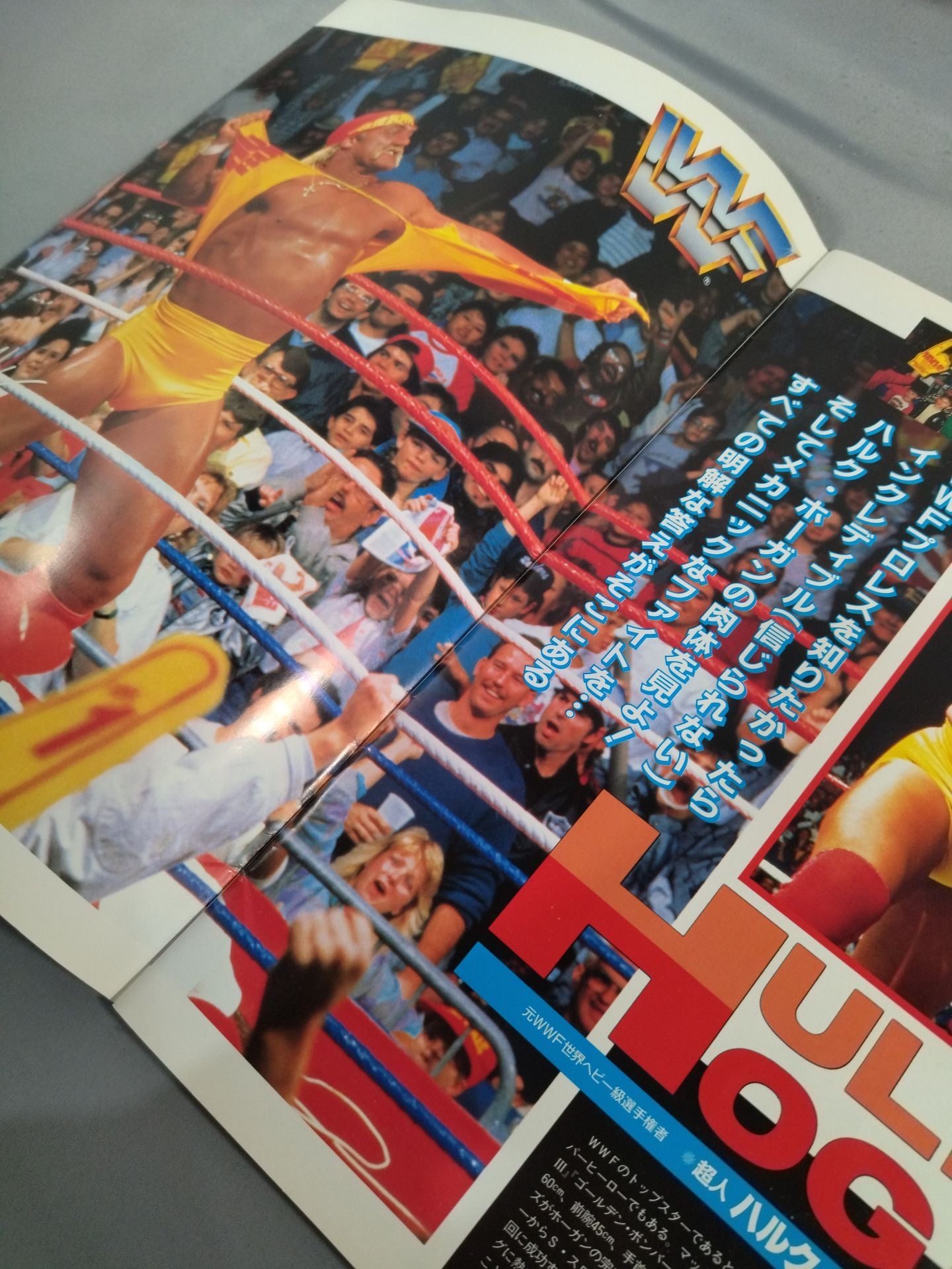 SWS / レッスル・フェスト IN TOKYO DOME