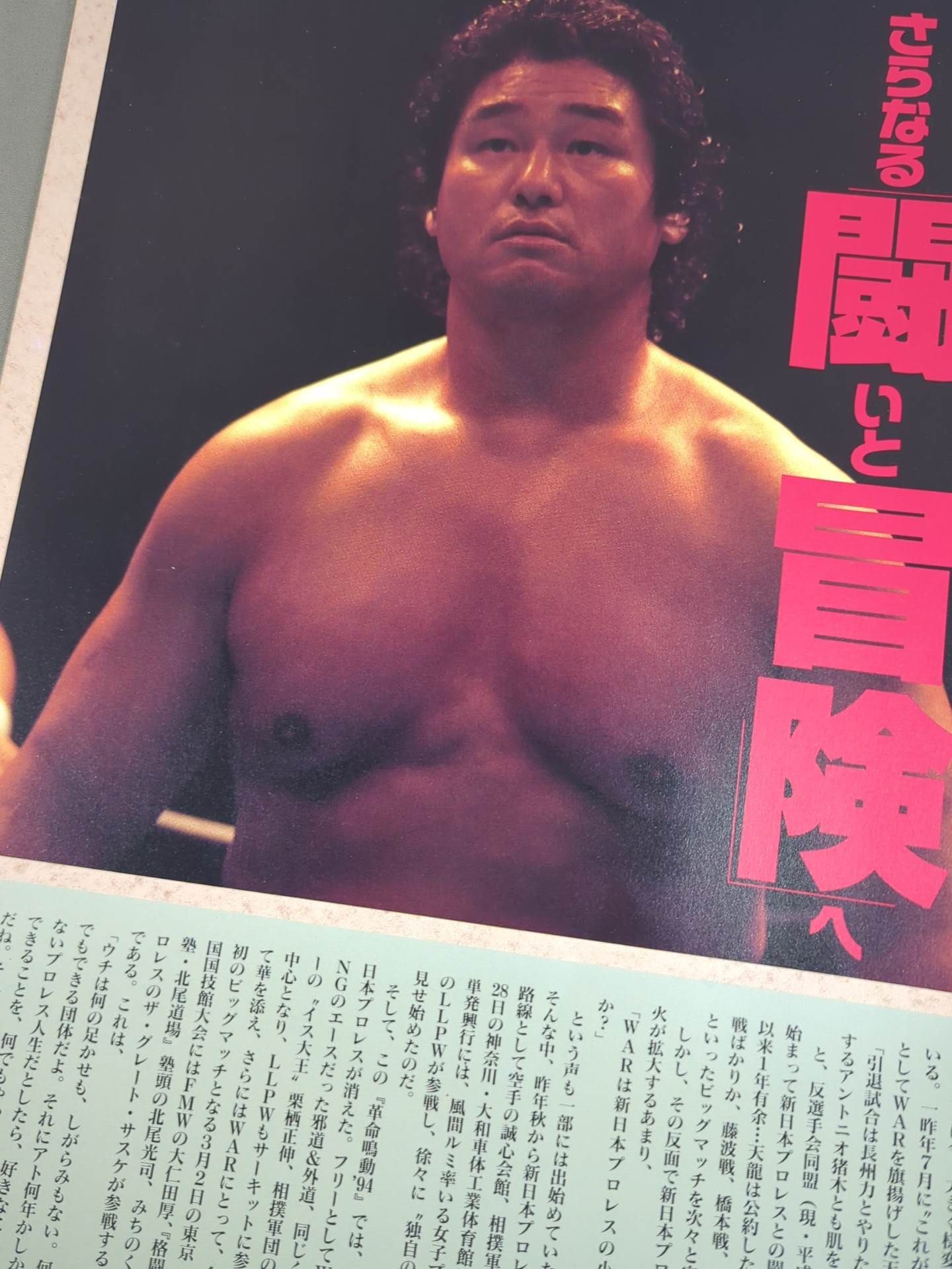 【維新力 直筆サイン入り】★WARvsFMW★ 革命鳴動’94