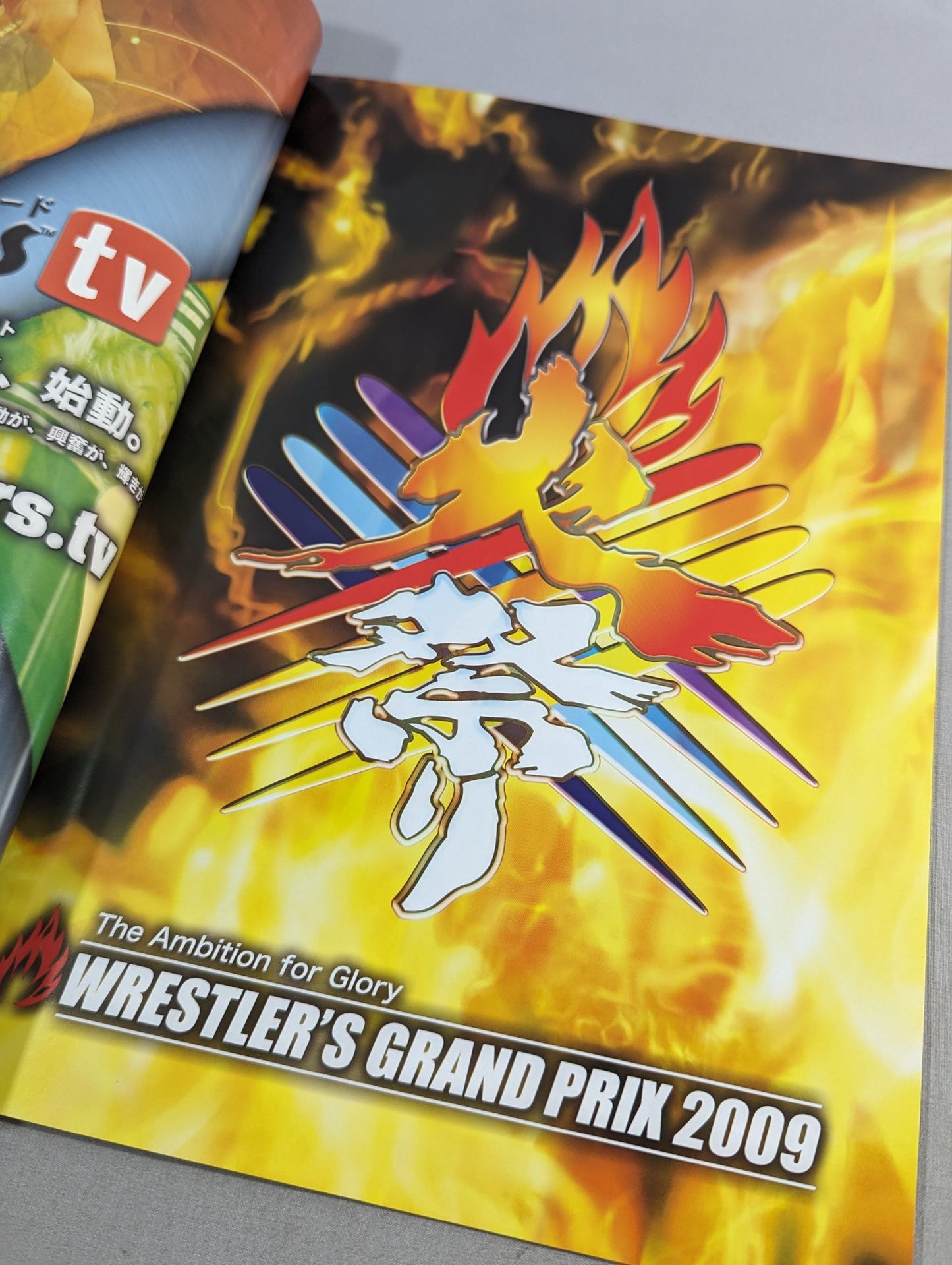 ★2009 Fire Festival Final Match ★ ZERO1 OFFICIAL MAGAZINE WRESTLER'S