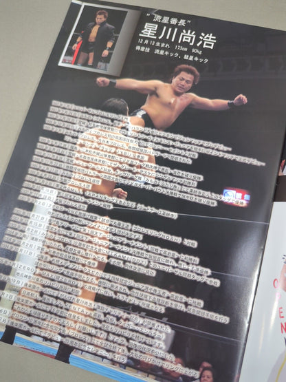 ZERO1 / 星川尚浩デビュー20周年記念大会