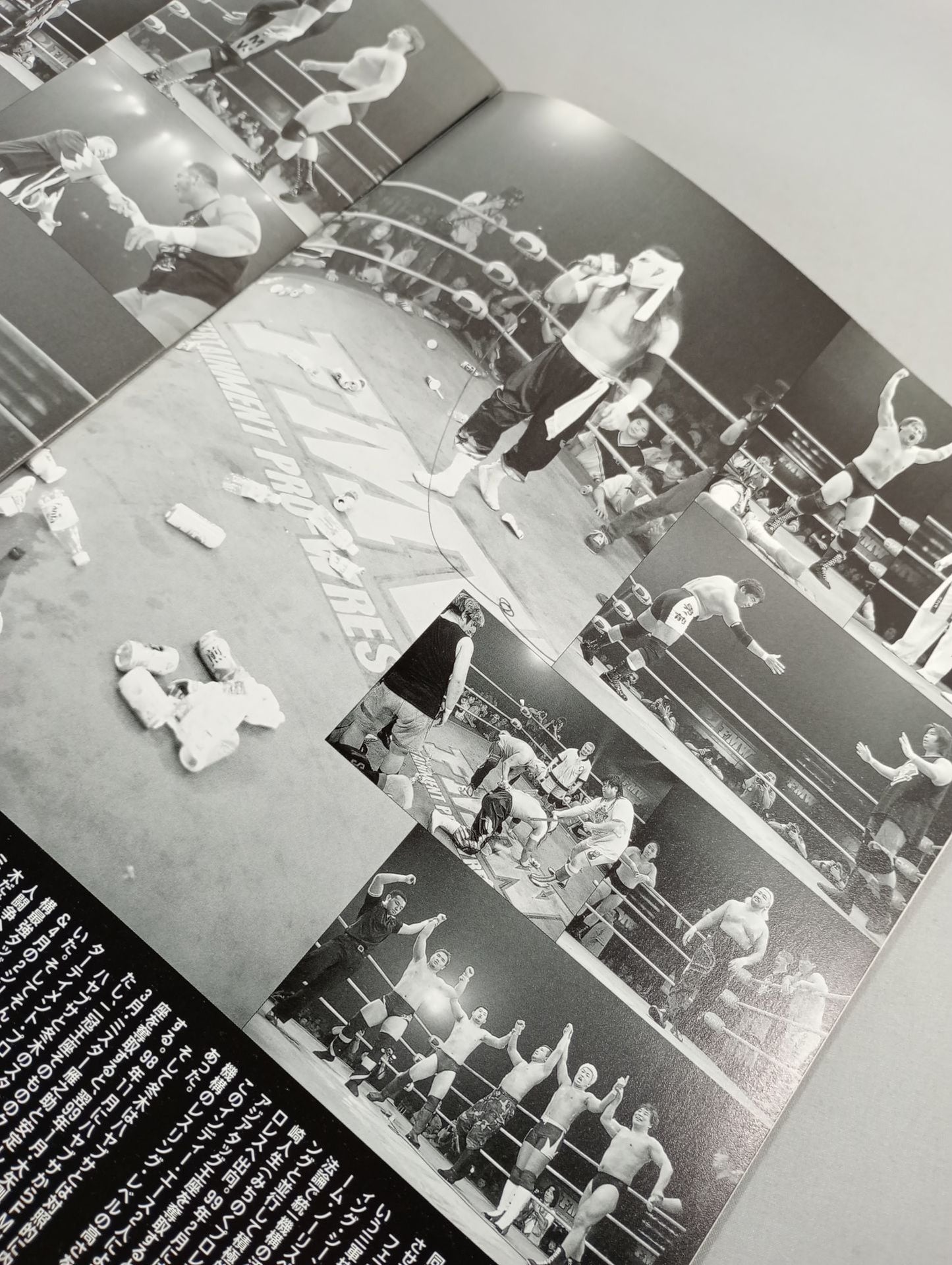 FMW OFFICIAL GUIDE BOOK 1999 vol.2