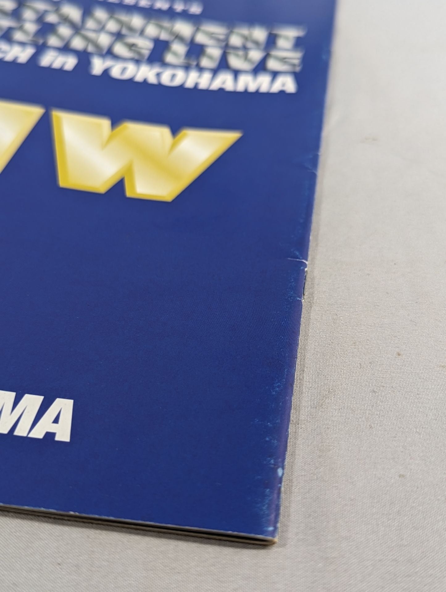 ENTERTAINMENT Wrestling  LIVE SUPER MATCH in YOKOHAMA