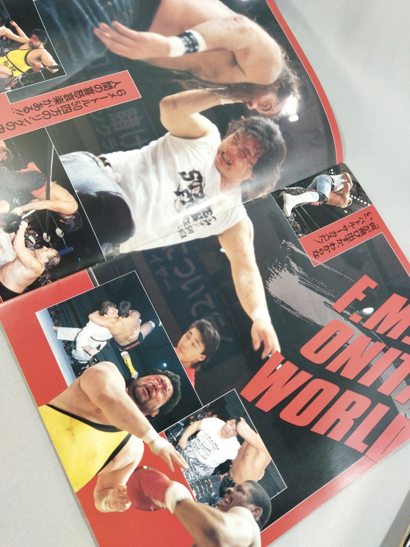 F.M.W. OFFICIAL GUIDE BOOK 1992 vol.Ⅱ