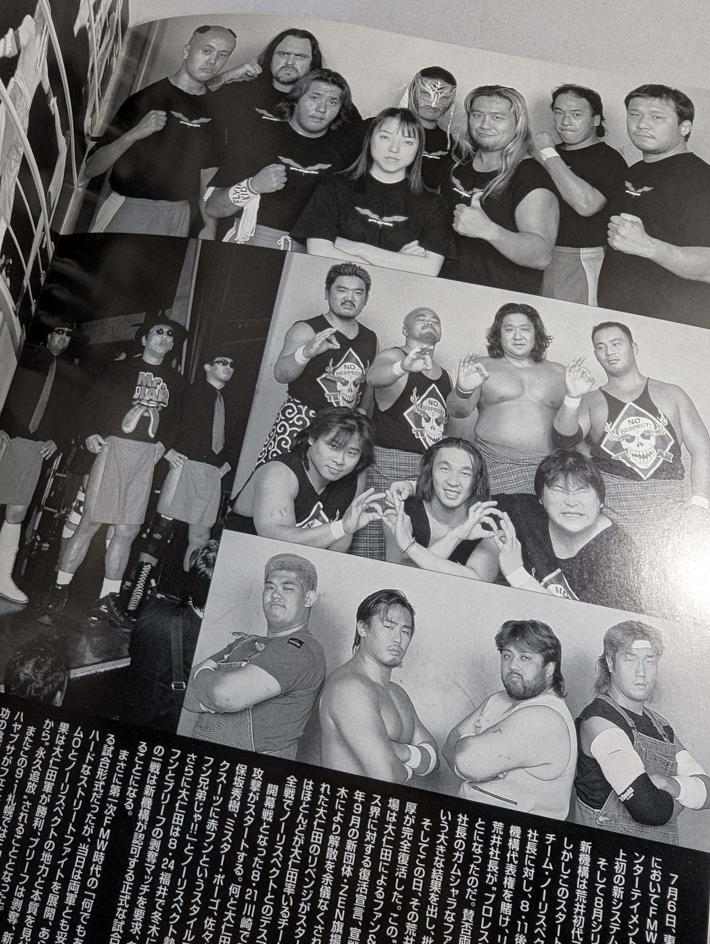 FMW OFFICIAL GUIDE BOOK 1998 Vol.3 – 闘道館