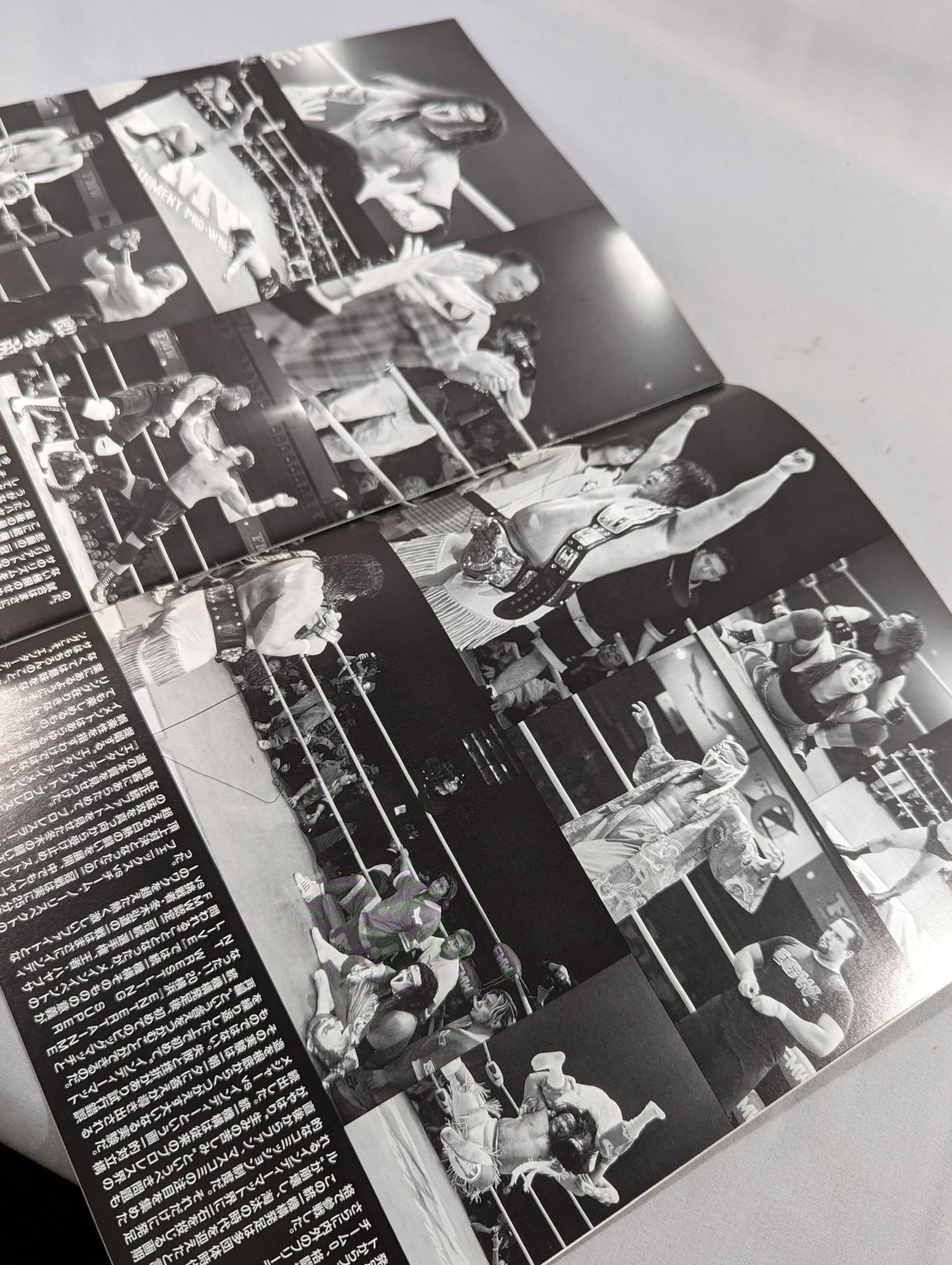 FMW OFFICIAL GUIDE BOOK 1999 vol.1