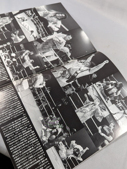 FMW OFFICIAL GUIDE BOOK 1999 vol.1