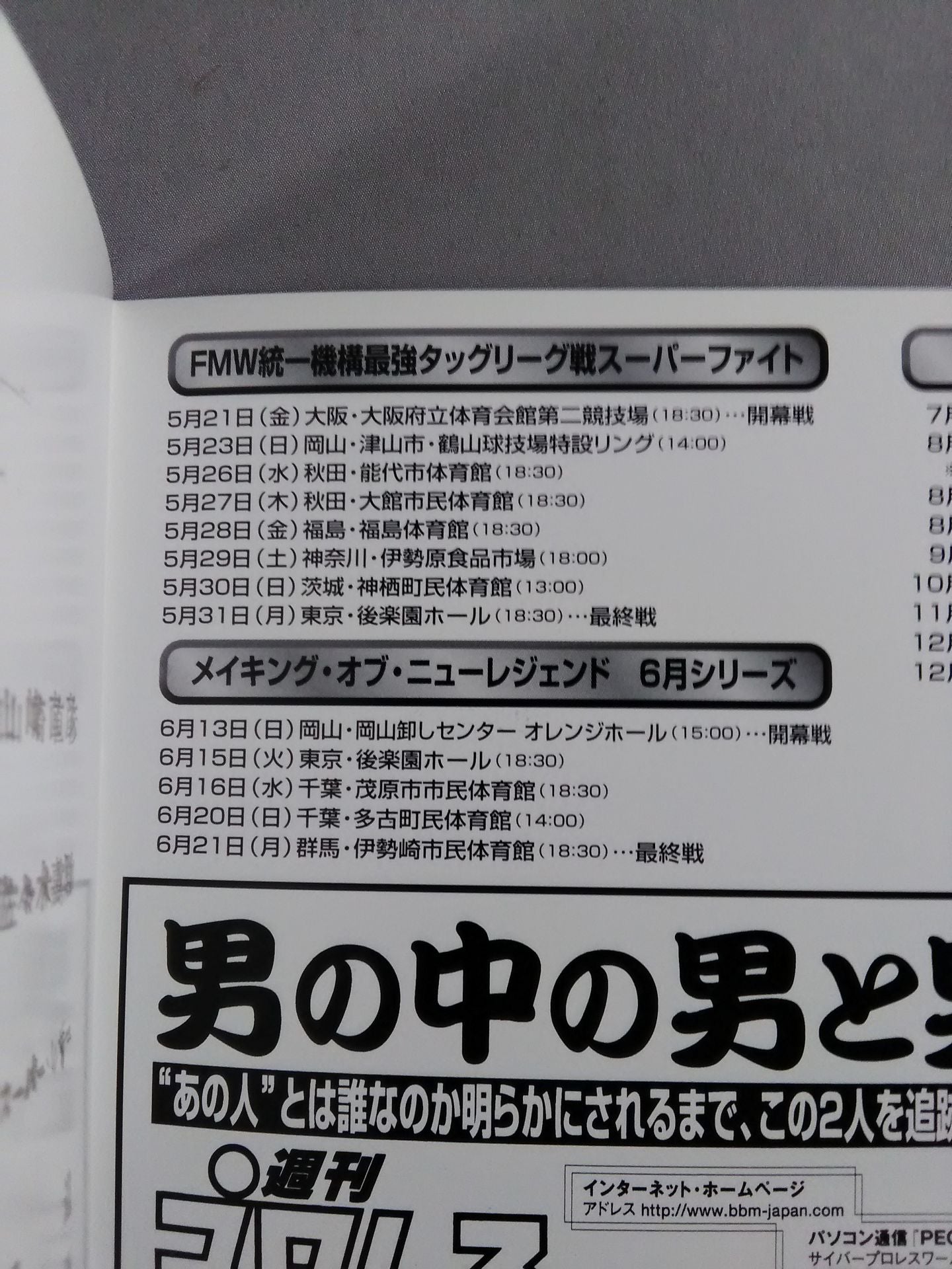 FMW OFFICIAL GUIDE BOOK 1999 vol.2