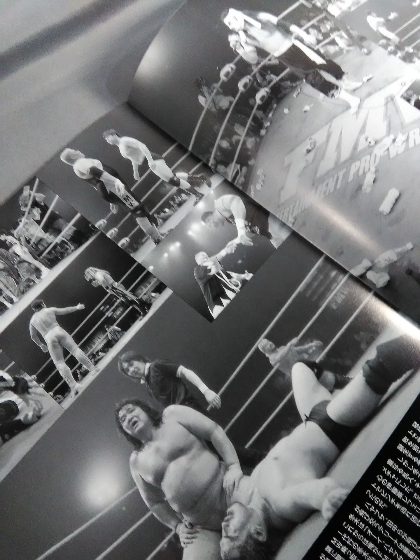 FMW OFFICIAL GUIDE BOOK 1999 vol.2