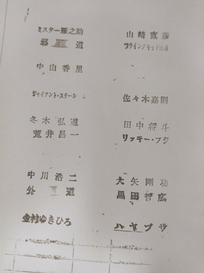 FMW OFFICIAL GUIDE BOOK 1999 vol.2