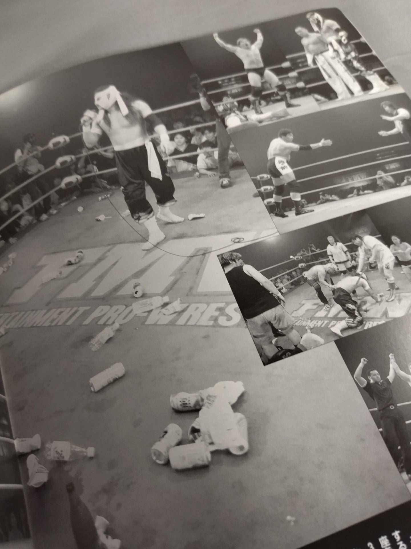 FMW OFFICIAL GUIDE BOOK 1999 vol.2