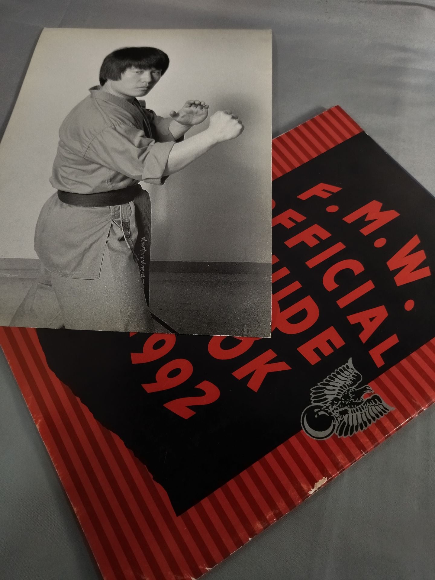 F.M.W. OFFICIAL GUIDE BOOK 1992 vol.Ⅱ