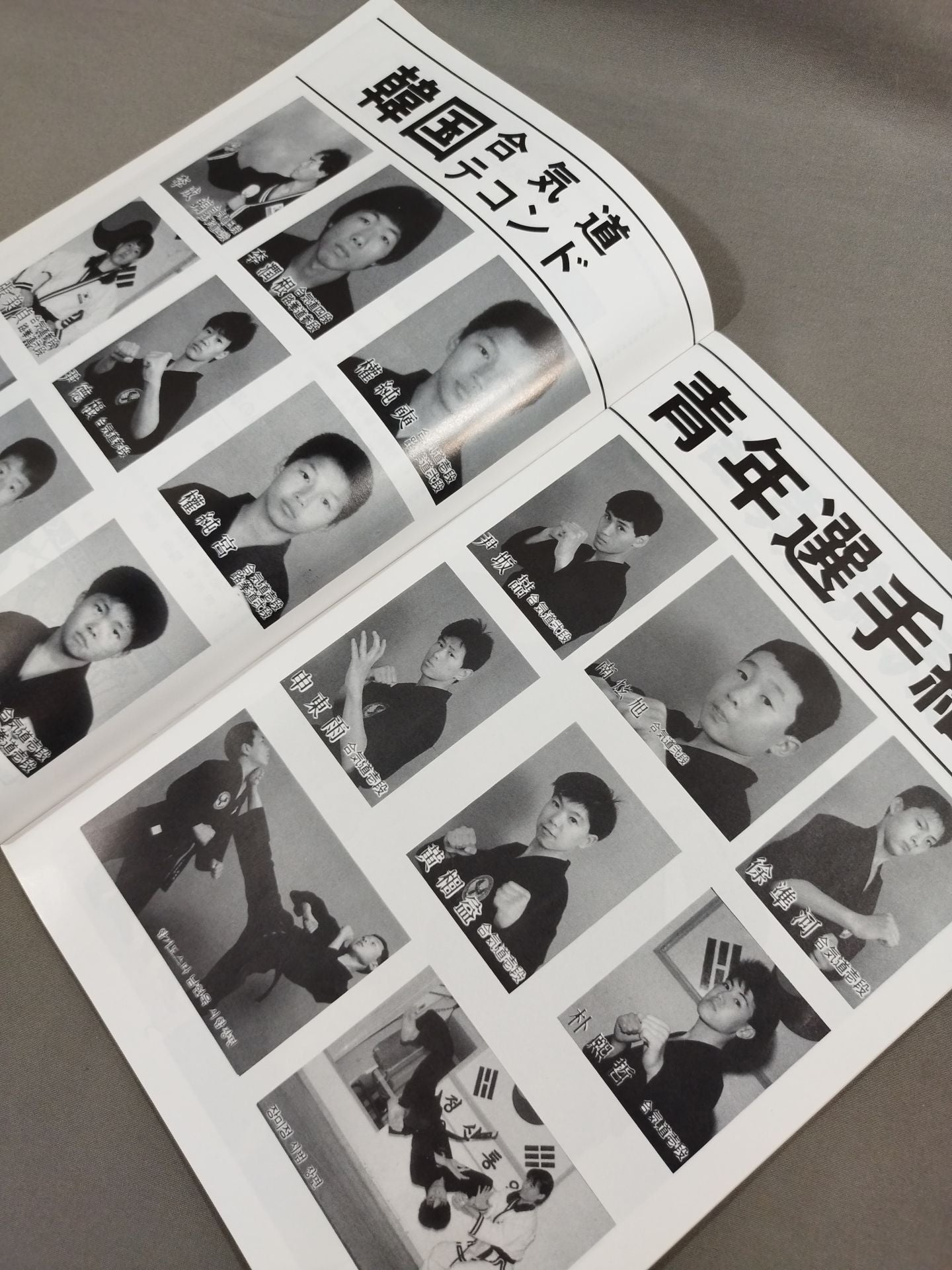 The 1st Japan-Korea Sports Exchange Charity Tournament