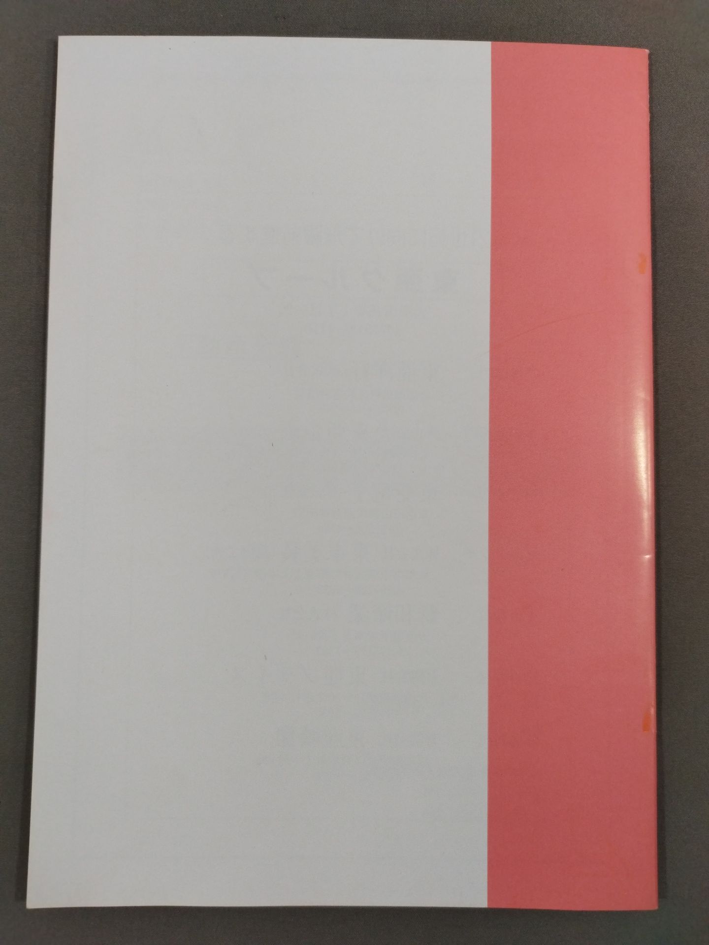 The 1st Japan-Korea Sports Exchange Charity Tournament