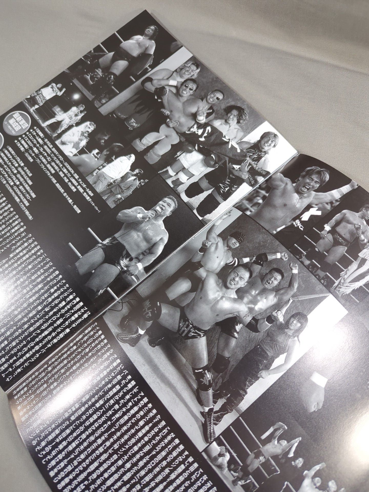 FMW OFFICIAL GUIDE BOOK 2001 Vol.1