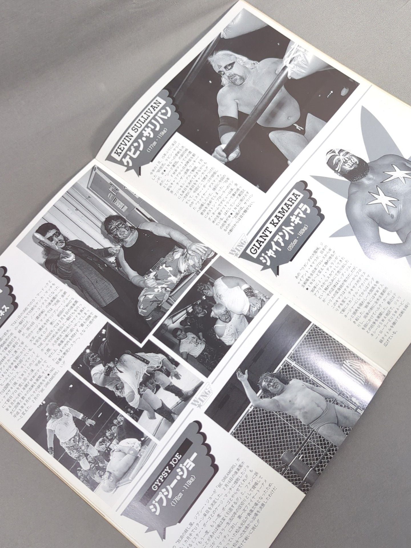 W★ING / DESIRE FOR BLOOD