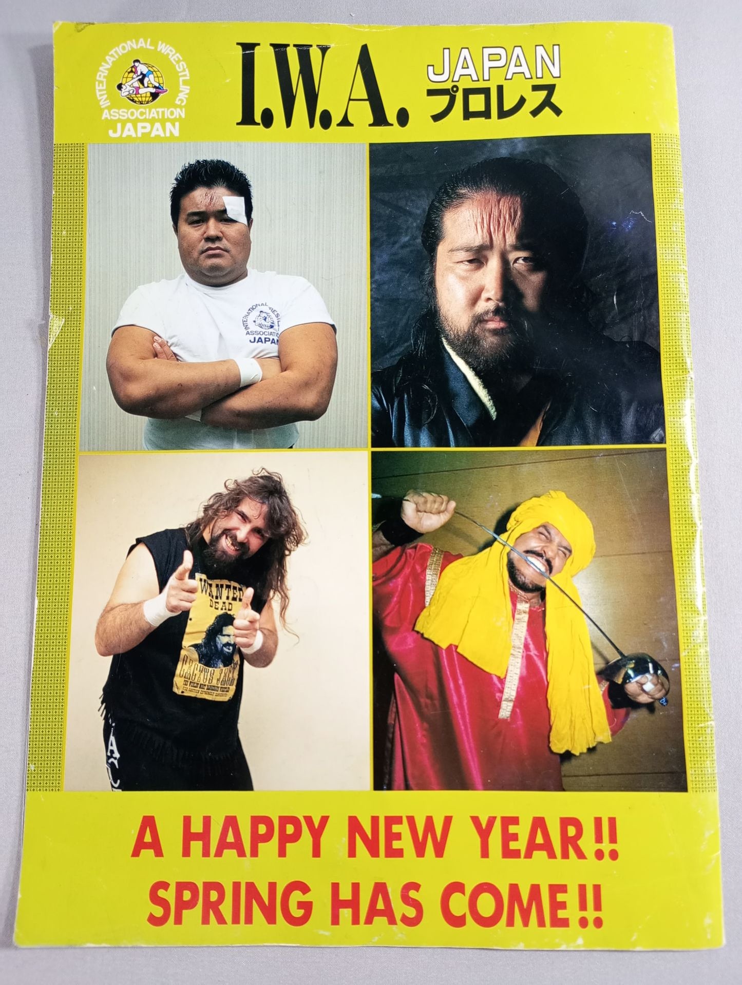 A HAPPY NEW YEAR!! SPRING HAS COME!!