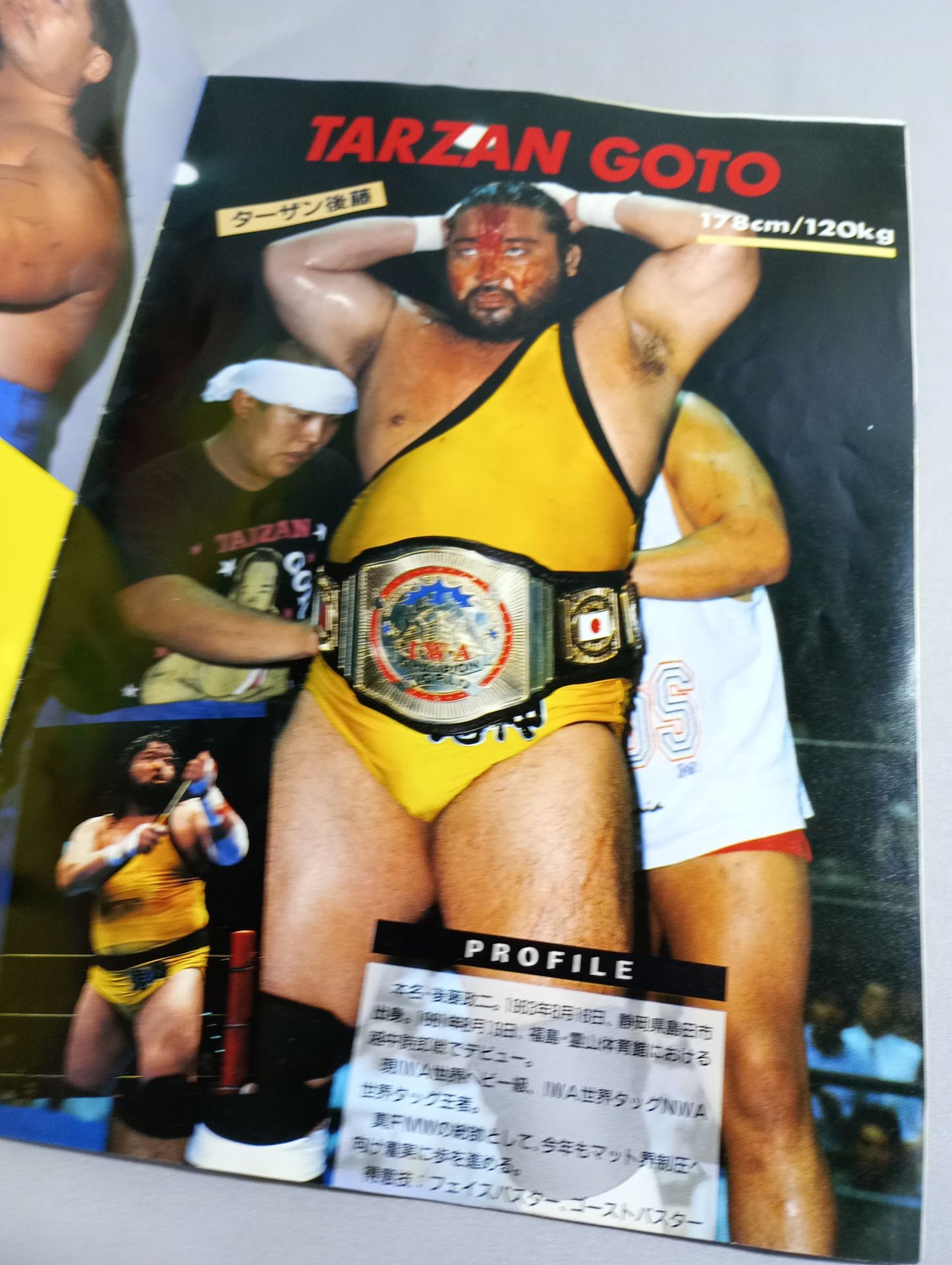 A HAPPY NEW YEAR!! SPRING HAS COME!!