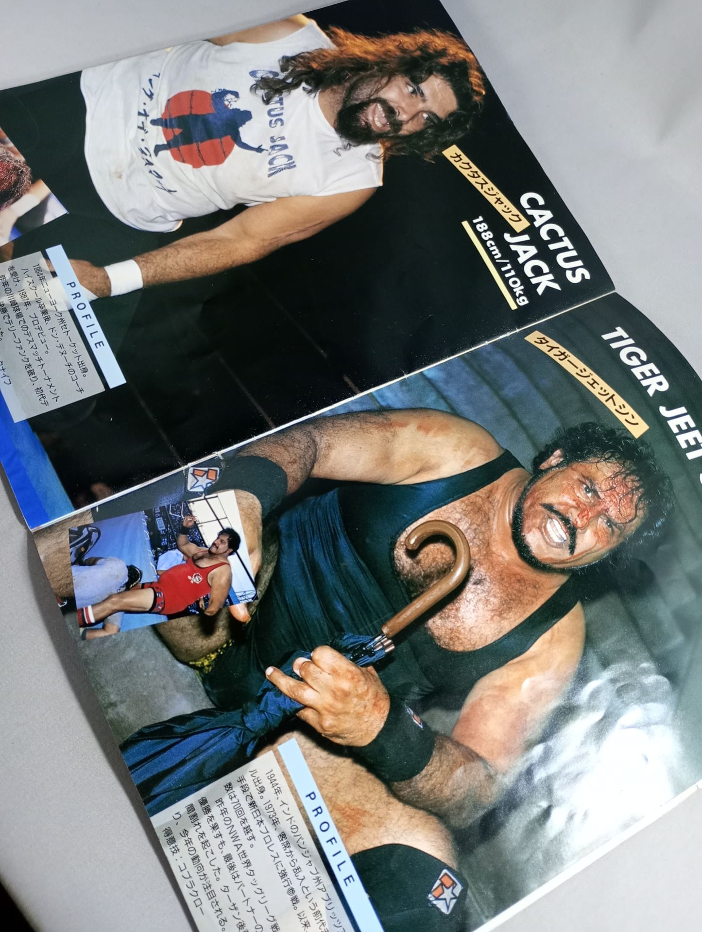 A HAPPY NEW YEAR!! SPRING HAS COME!!