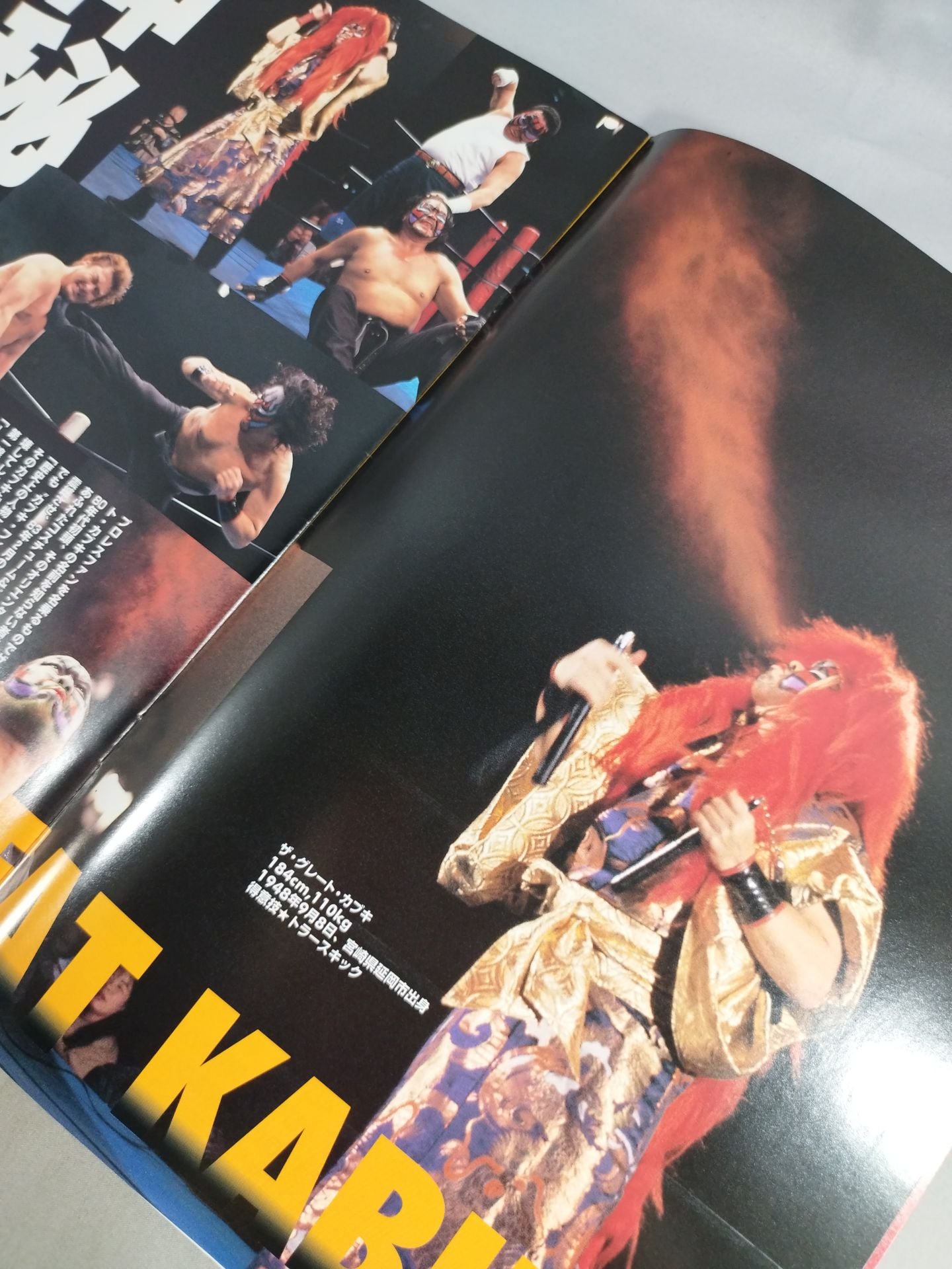 Shinsei IWA JAPANPro Wrestling  RESTART OFFICIAL PROGRAM Vol.1