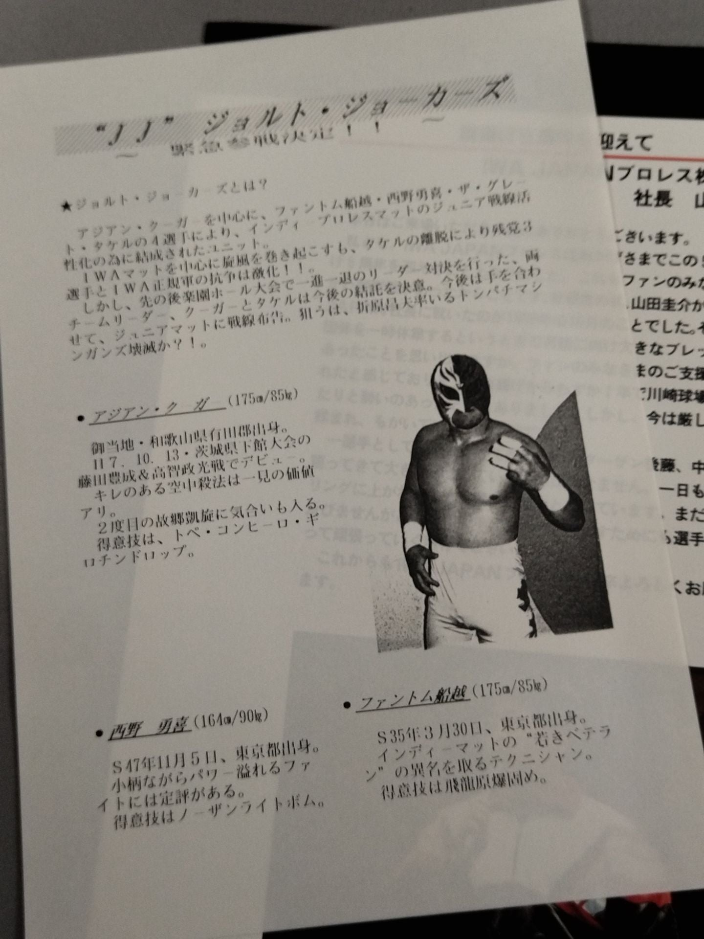 Shinsei IWA JAPAN Pro Wrestling  5th Anniversary Series