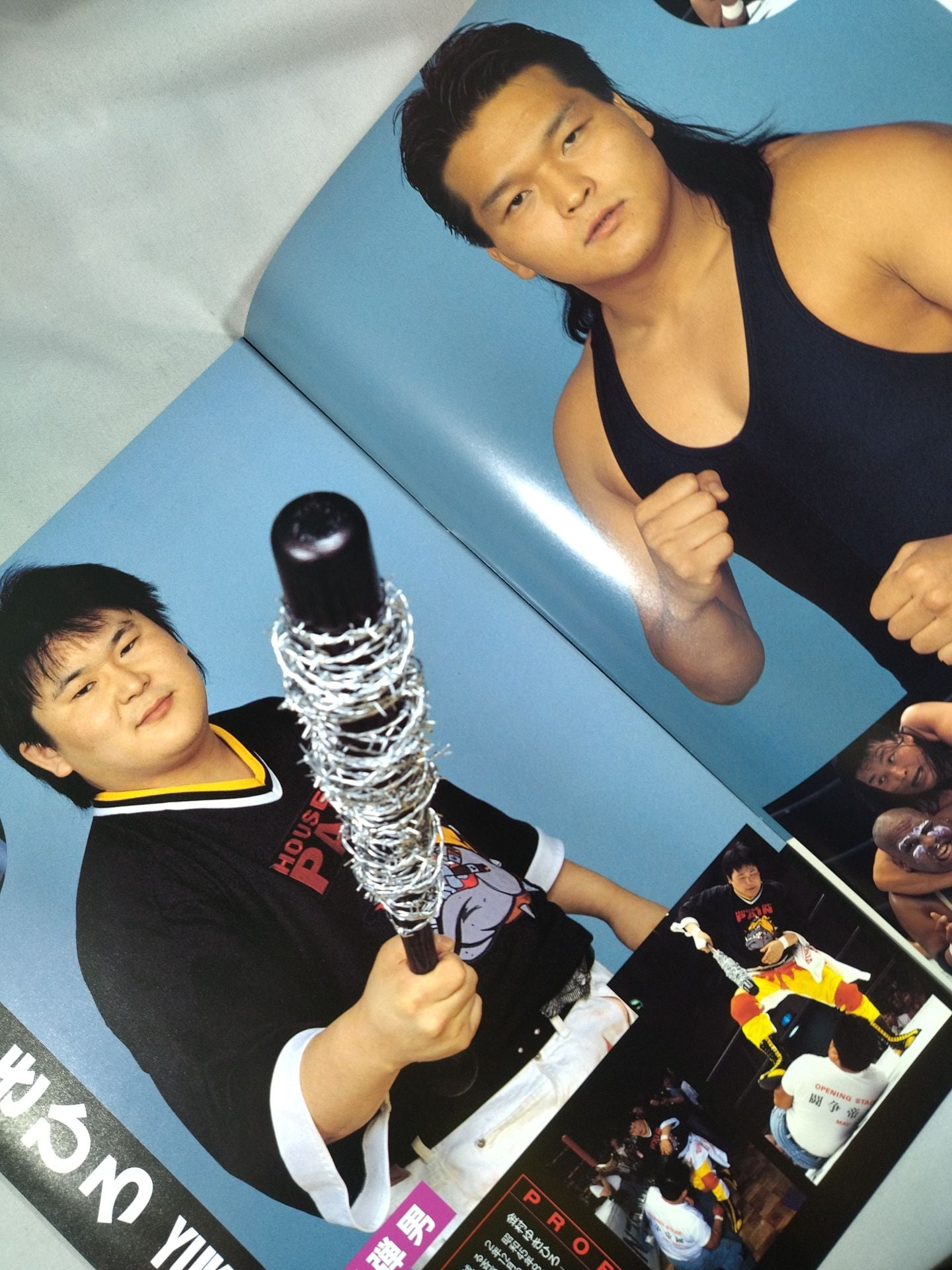 IWA JAPAN Pro Wrestling