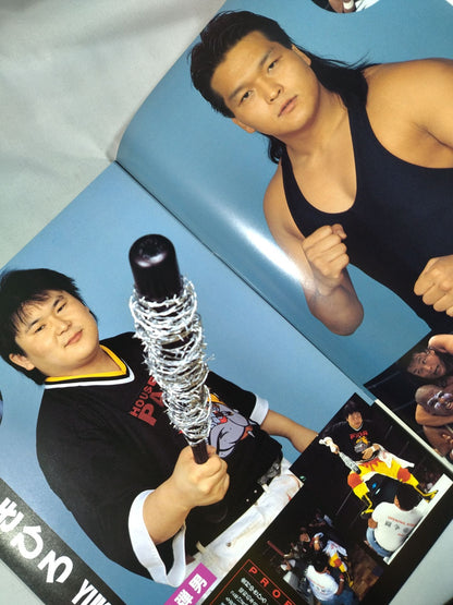 IWA JAPAN Pro Wrestling