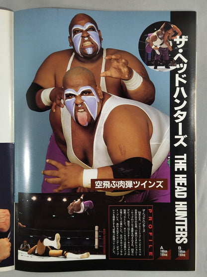 IWA JAPAN Pro Wrestling