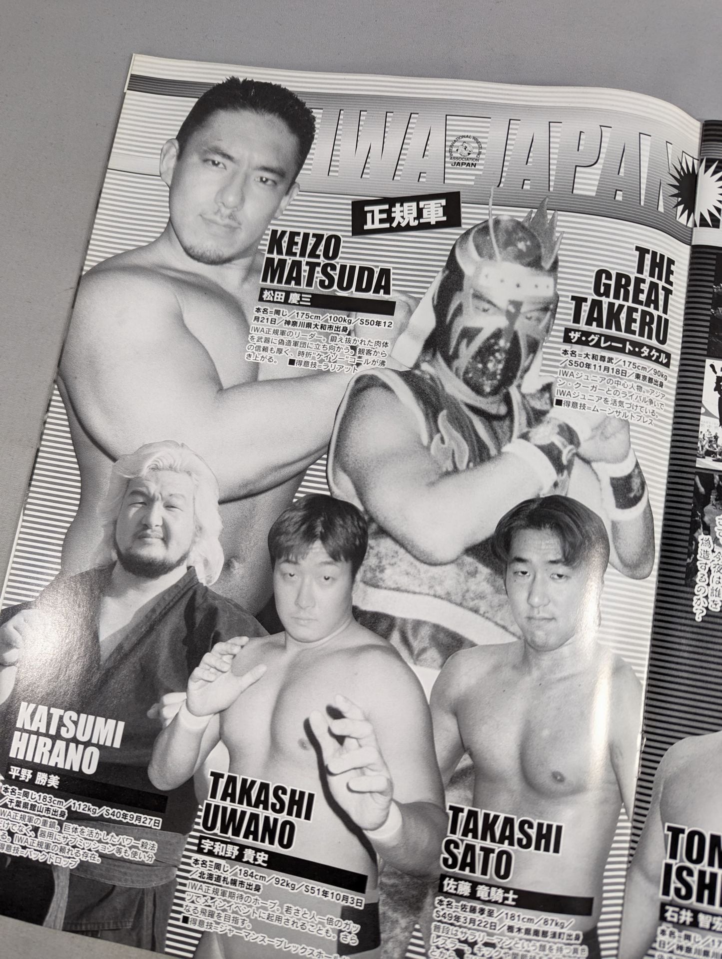 IWAジャパン 2002オフィシャルガイド