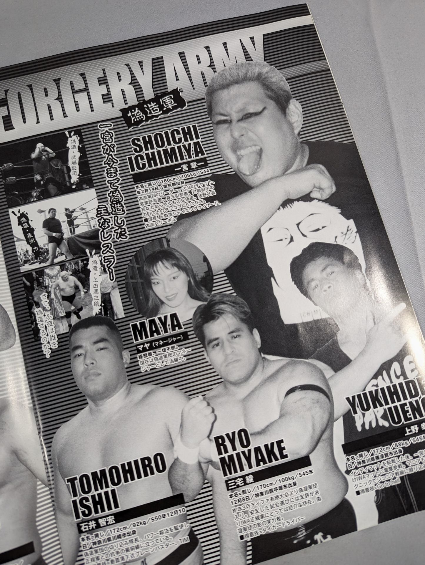 IWAジャパン 2002オフィシャルガイド