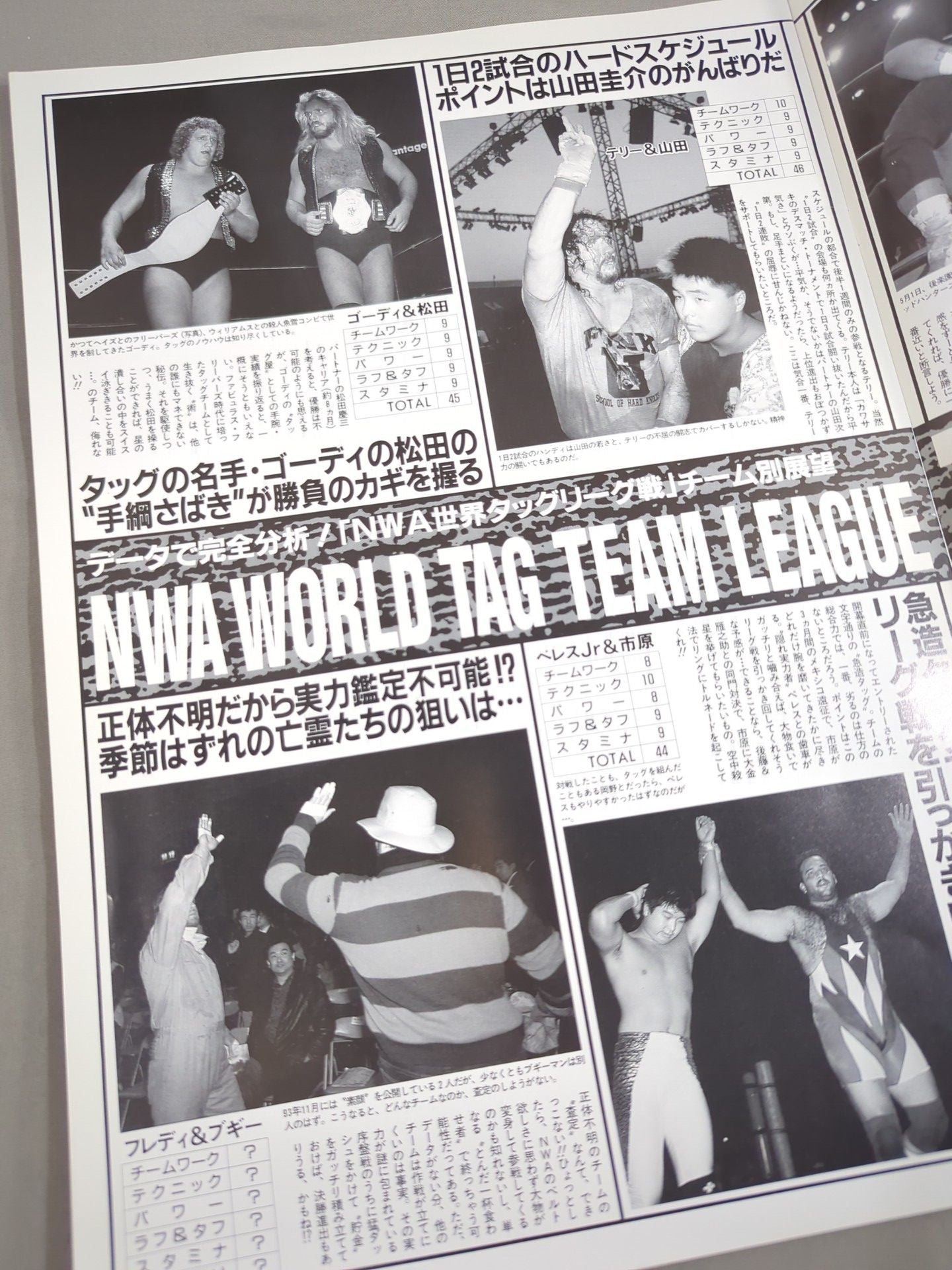 NWA世界タッグリーグ戦～2nd YEAR FINAL BATTLE～