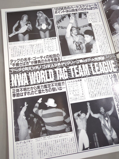NWA世界タッグリーグ戦～2nd YEAR FINAL BATTLE～