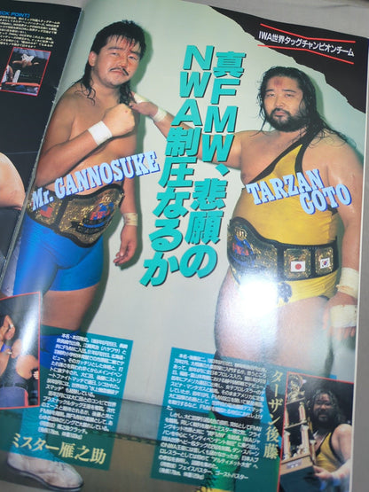 NWA世界タッグリーグ戦～2nd YEAR FINAL BATTLE～