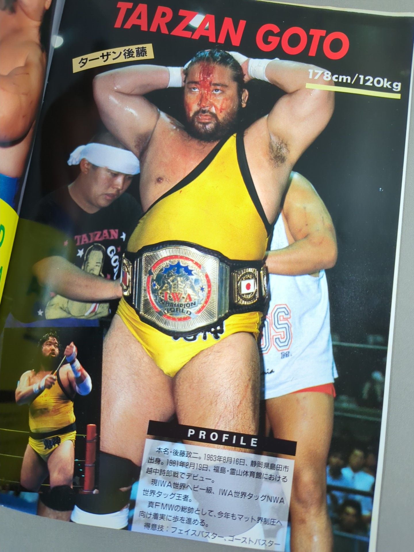 I.W.A.JAPANPro Wrestling  / A HAPPY NEW YEAR!! SPRING HAS COME!!