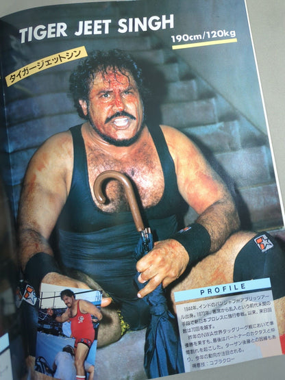 I.W.A.JAPANPro Wrestling  / A HAPPY NEW YEAR!! SPRING HAS COME!!