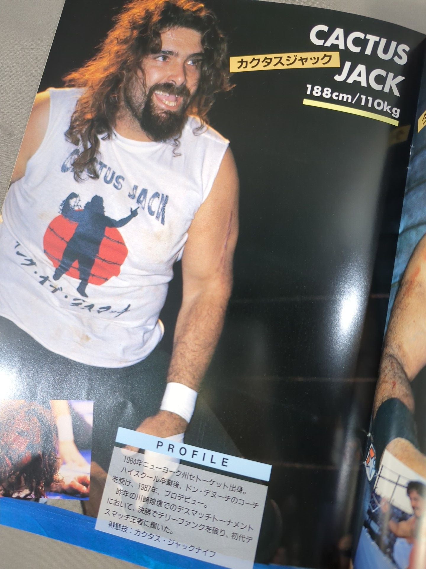 I.W.A.JAPANPro Wrestling  / A HAPPY NEW YEAR!! SPRING HAS COME!!