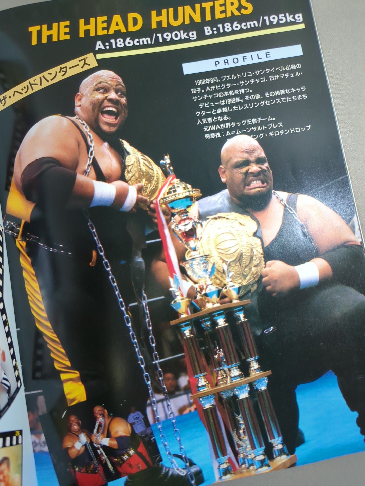 I.W.A.JAPANPro Wrestling  / A HAPPY NEW YEAR!! SPRING HAS COME!!