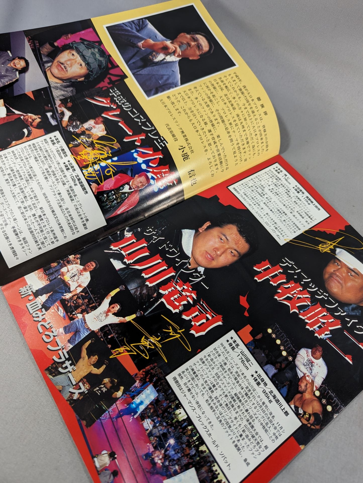 大日本プロレス(1997年)