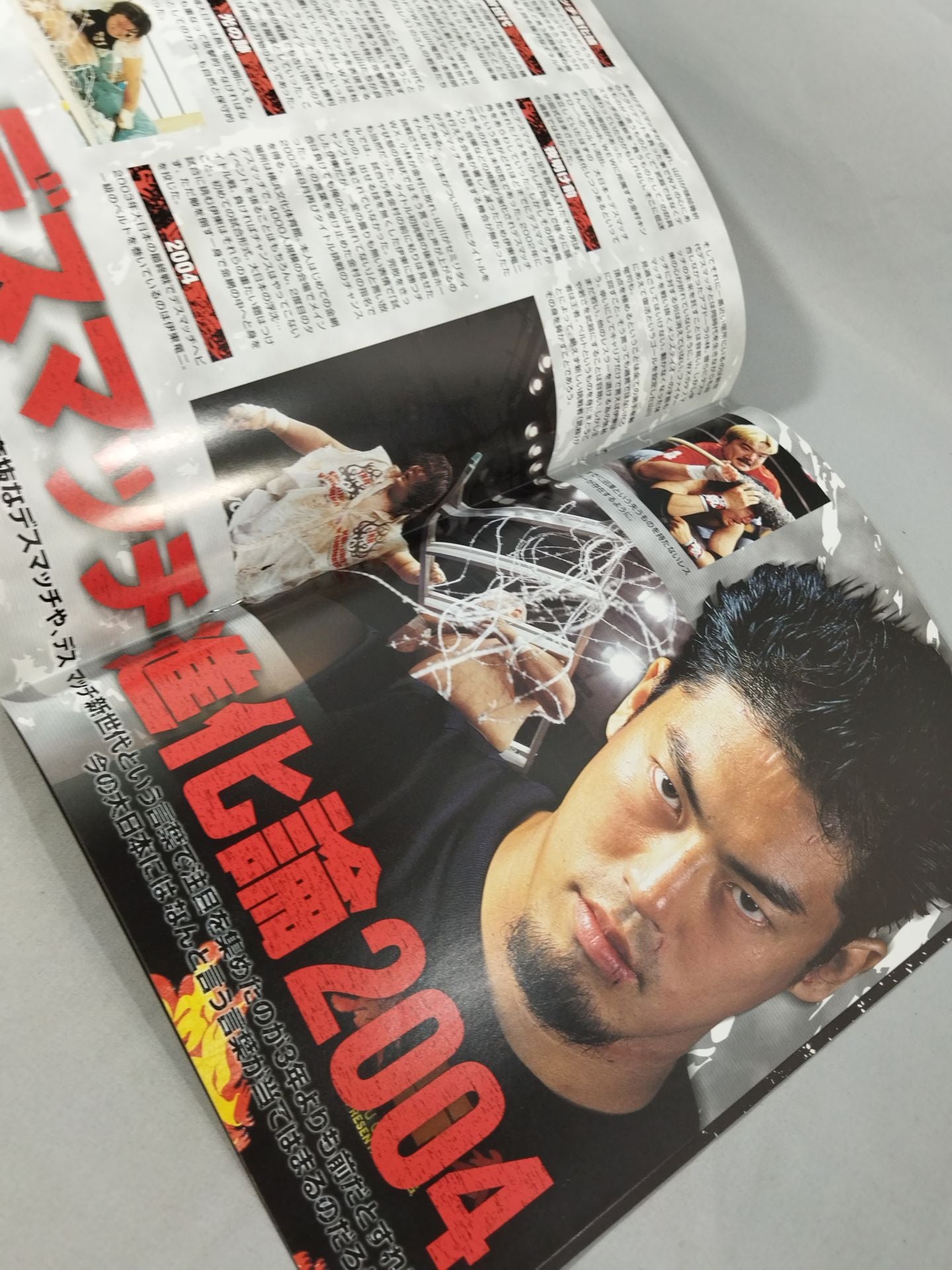 BJW 大日本プロレス(2003年～2004年)