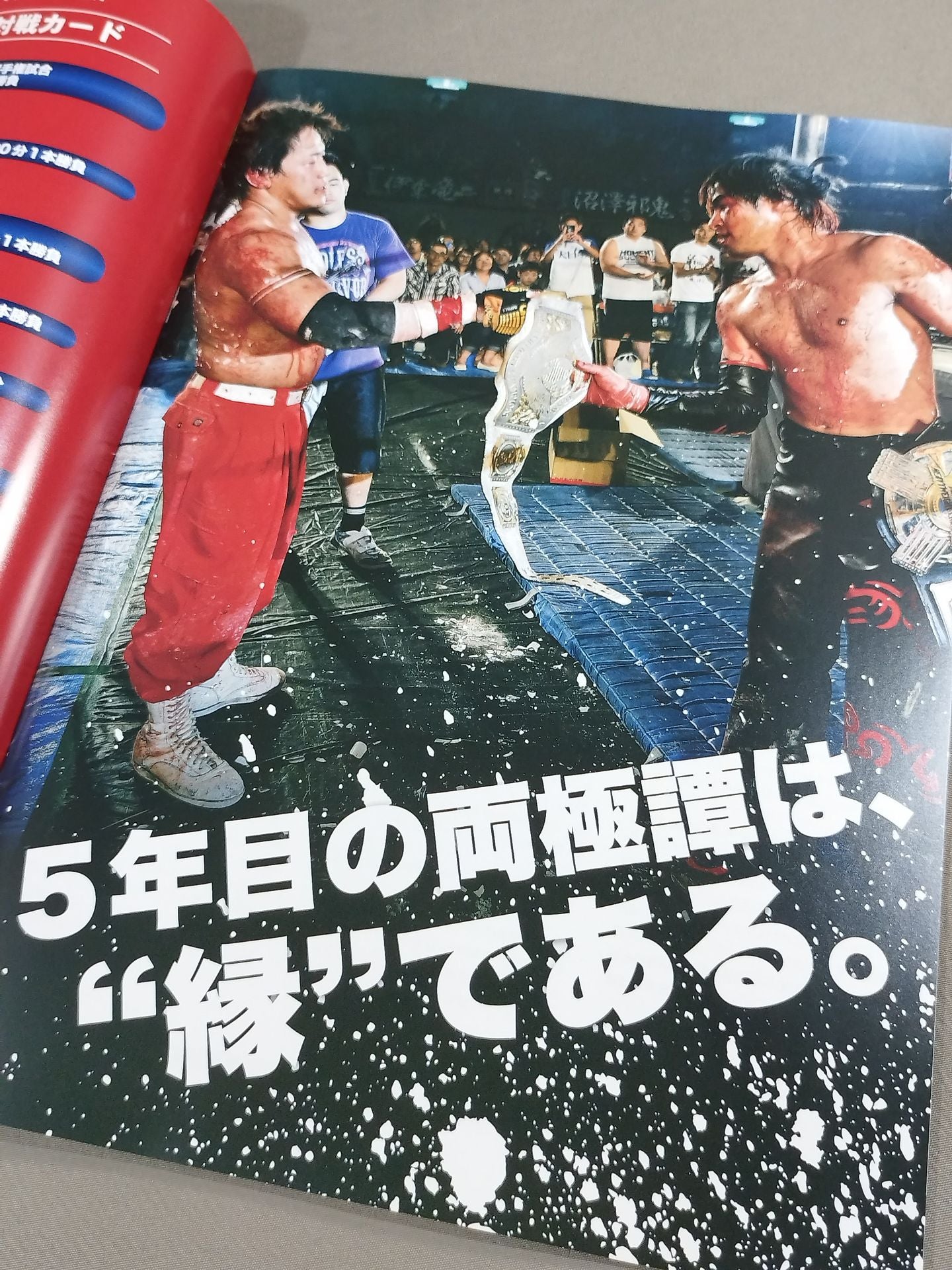 両極譚2019