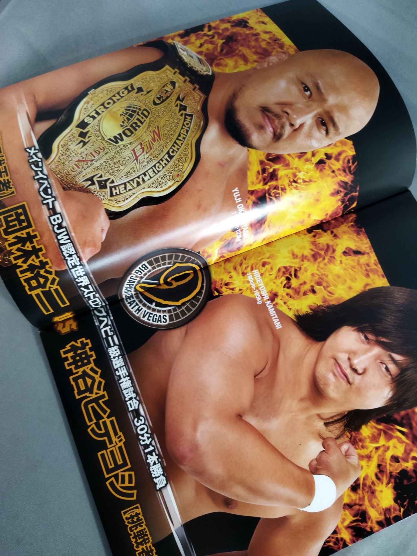 BIG JAPAN DEATH VEGAS 2015