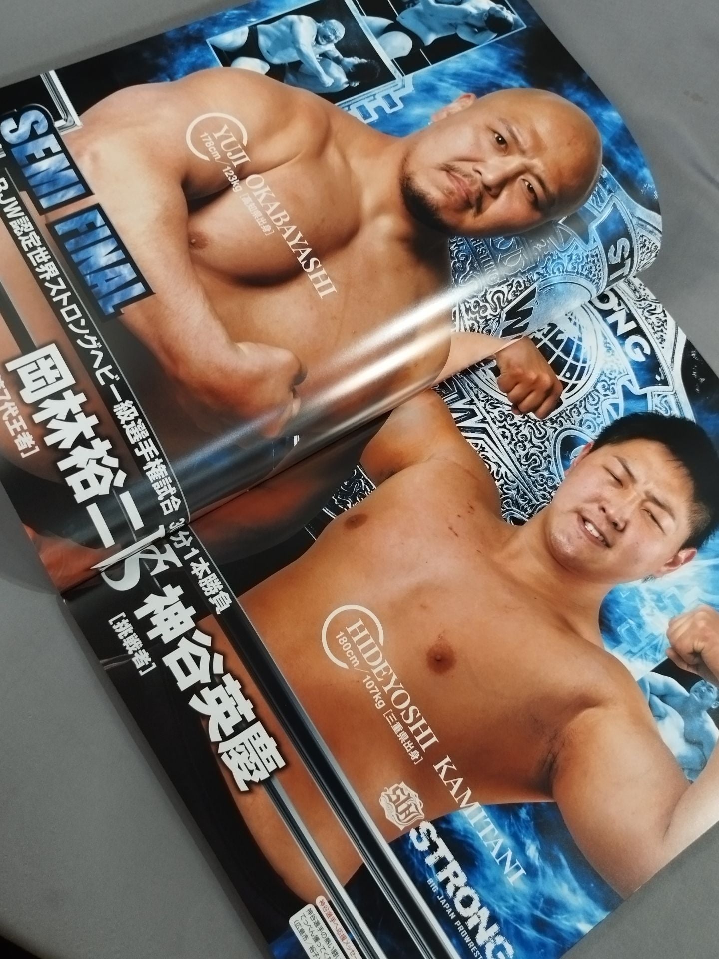 両極譚2016