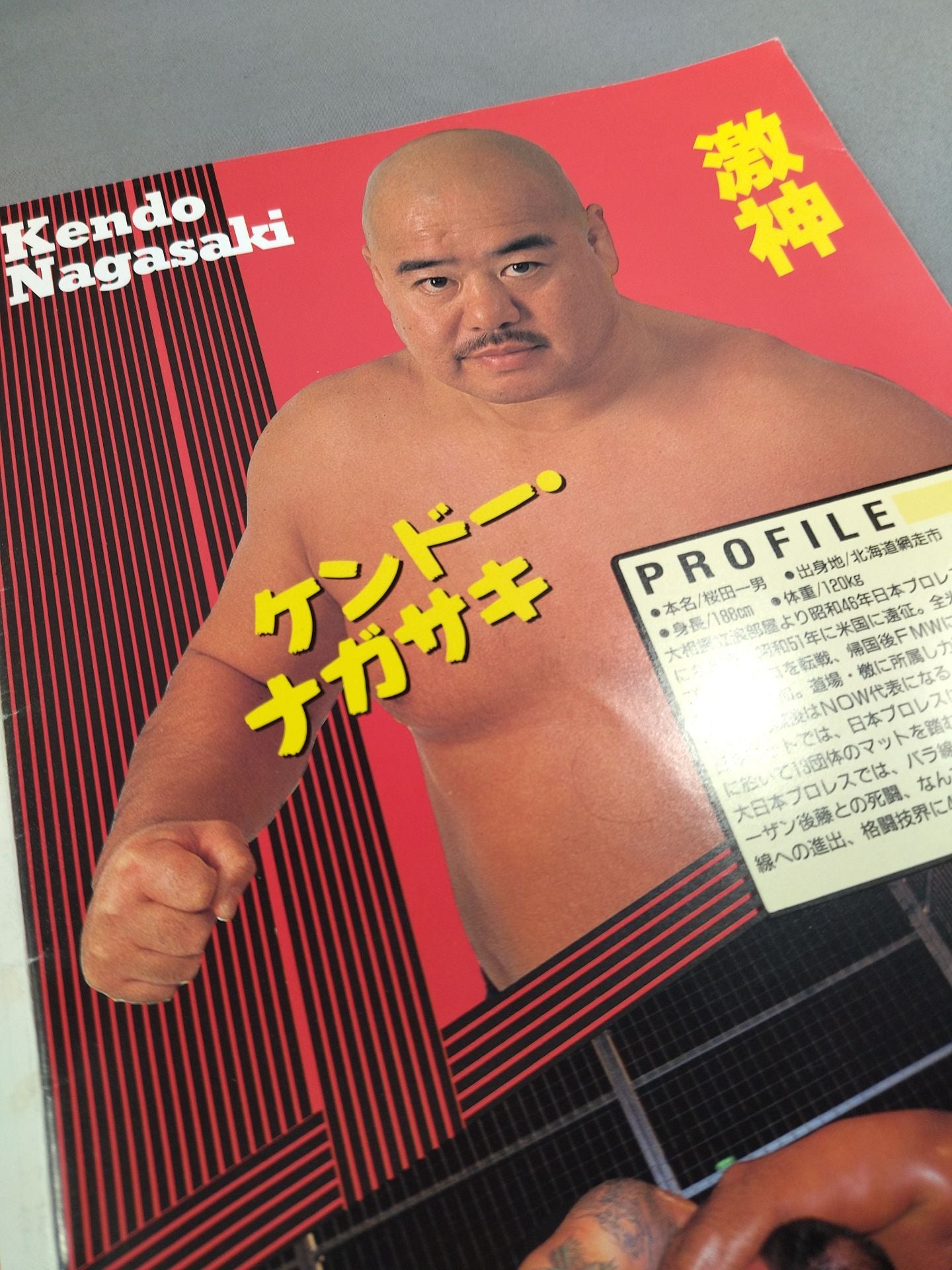 Big Japan Pro Wrestling  Box Office Co., Ltd. BIG・JAPAN