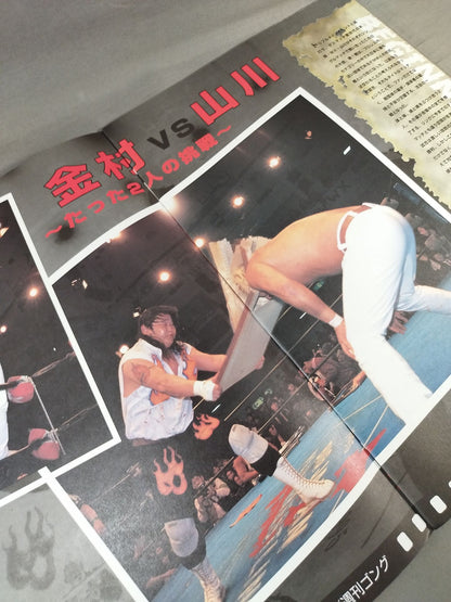 Big Japan Pro Wrestling  / ANTE-UP