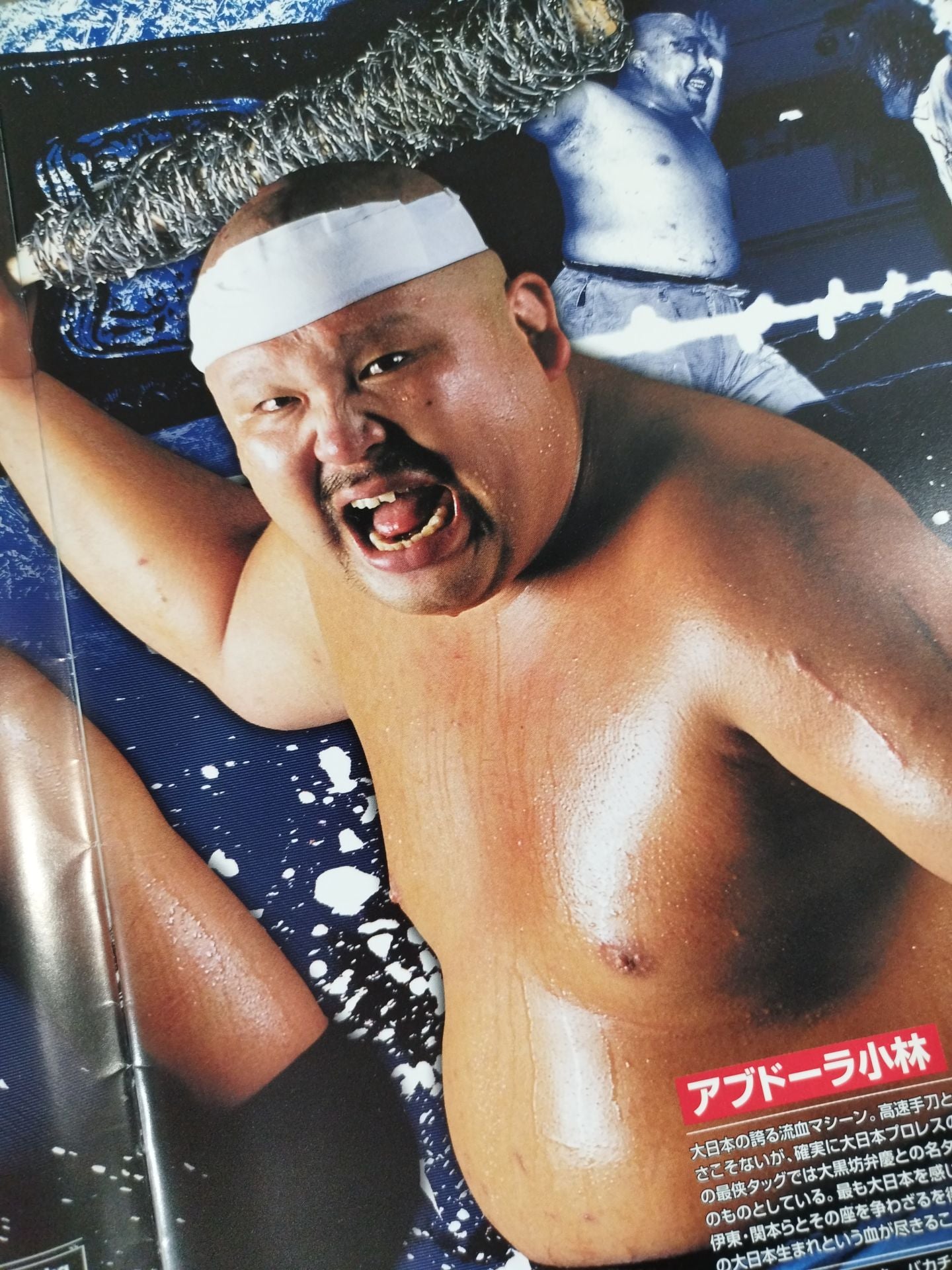 BJW Big Japan Pro Wrestling ( 2003~2004)