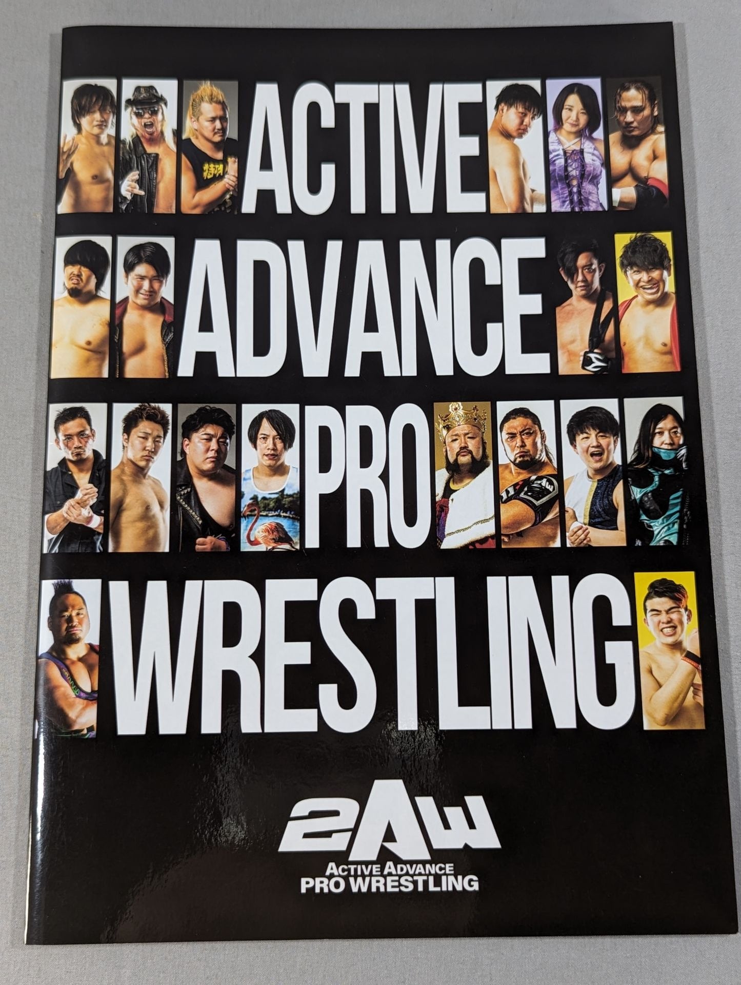 2AW パンフレット vol.10