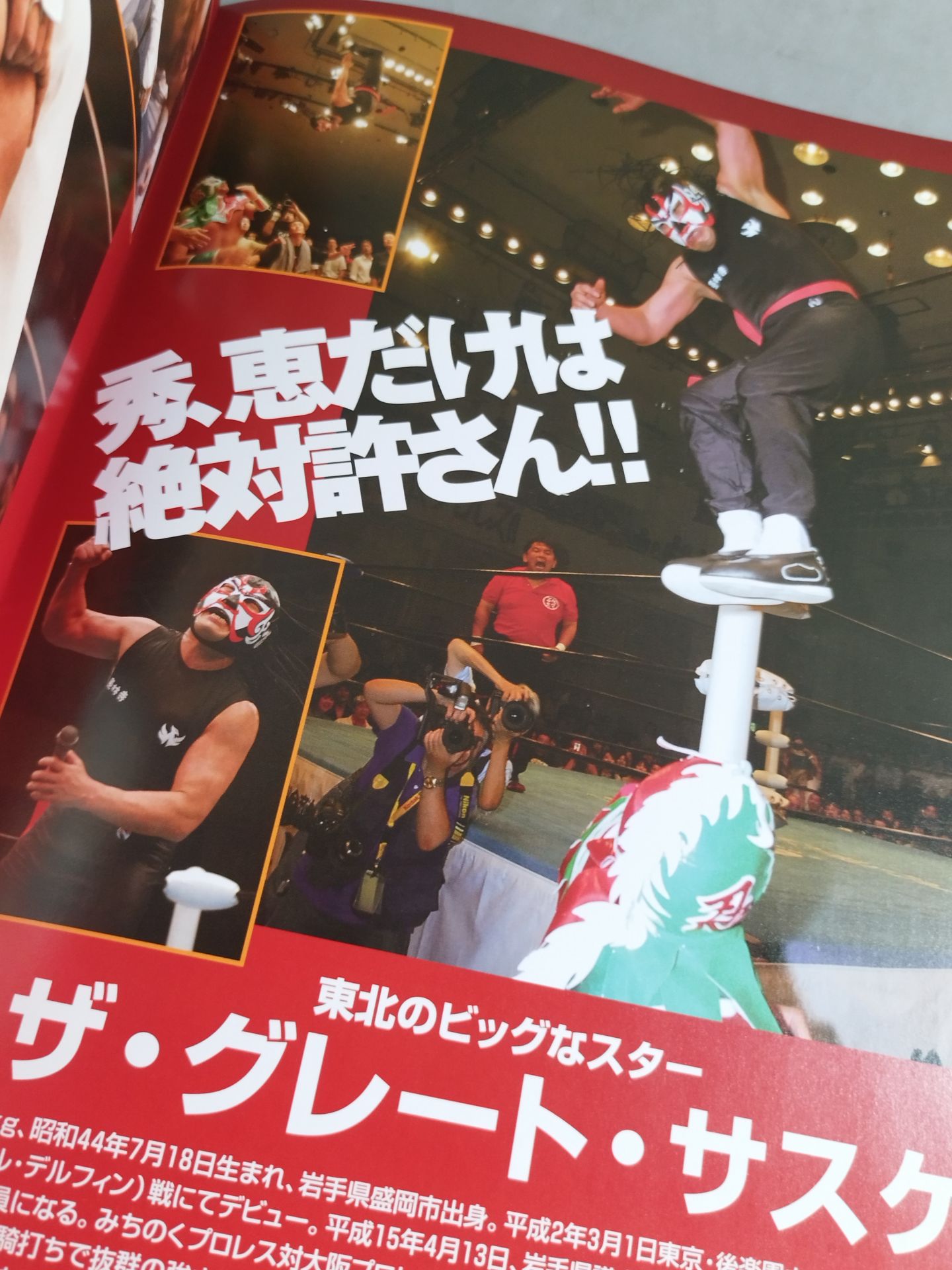 ★ ★ Michinoku Pro Wrestling Official Brochure Vol.116